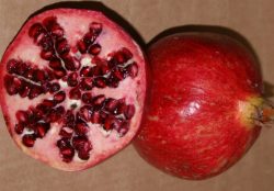 Granatapfel