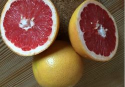 Grapefruit
