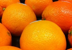 Saft-Orangen