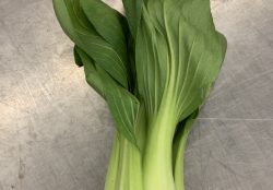 Pak Choi