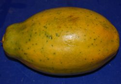 Papaya