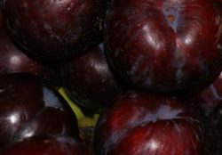 Pflaumen rot