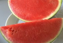 Wassermelone (kernarm)