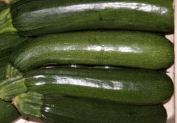 grüne Zucchini